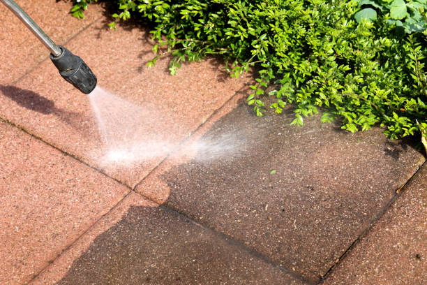 Best Industrial Pressure Washing in Dash Point, WA